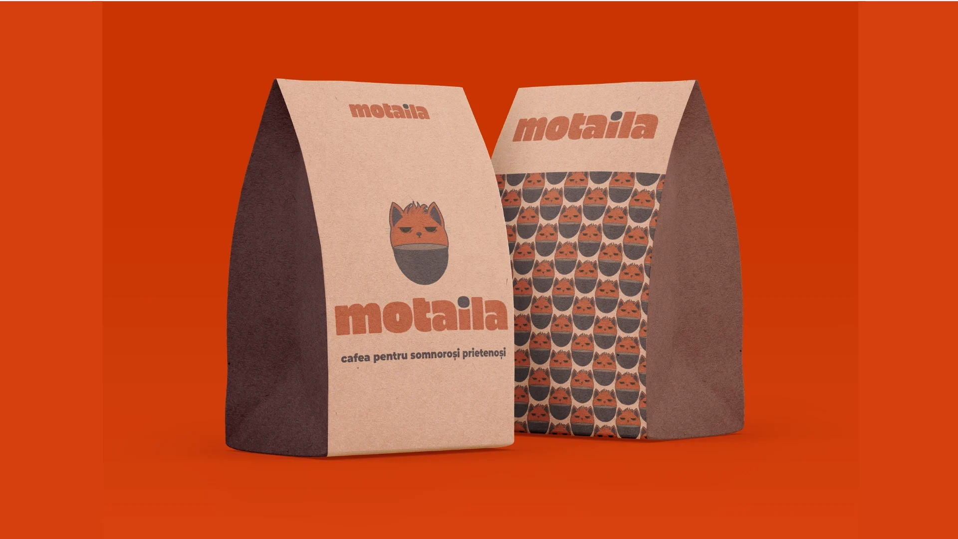 Banner Motaila 13