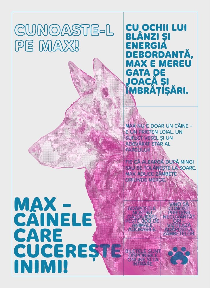 Poster animal-friendly cu caine realizat de DB Studio